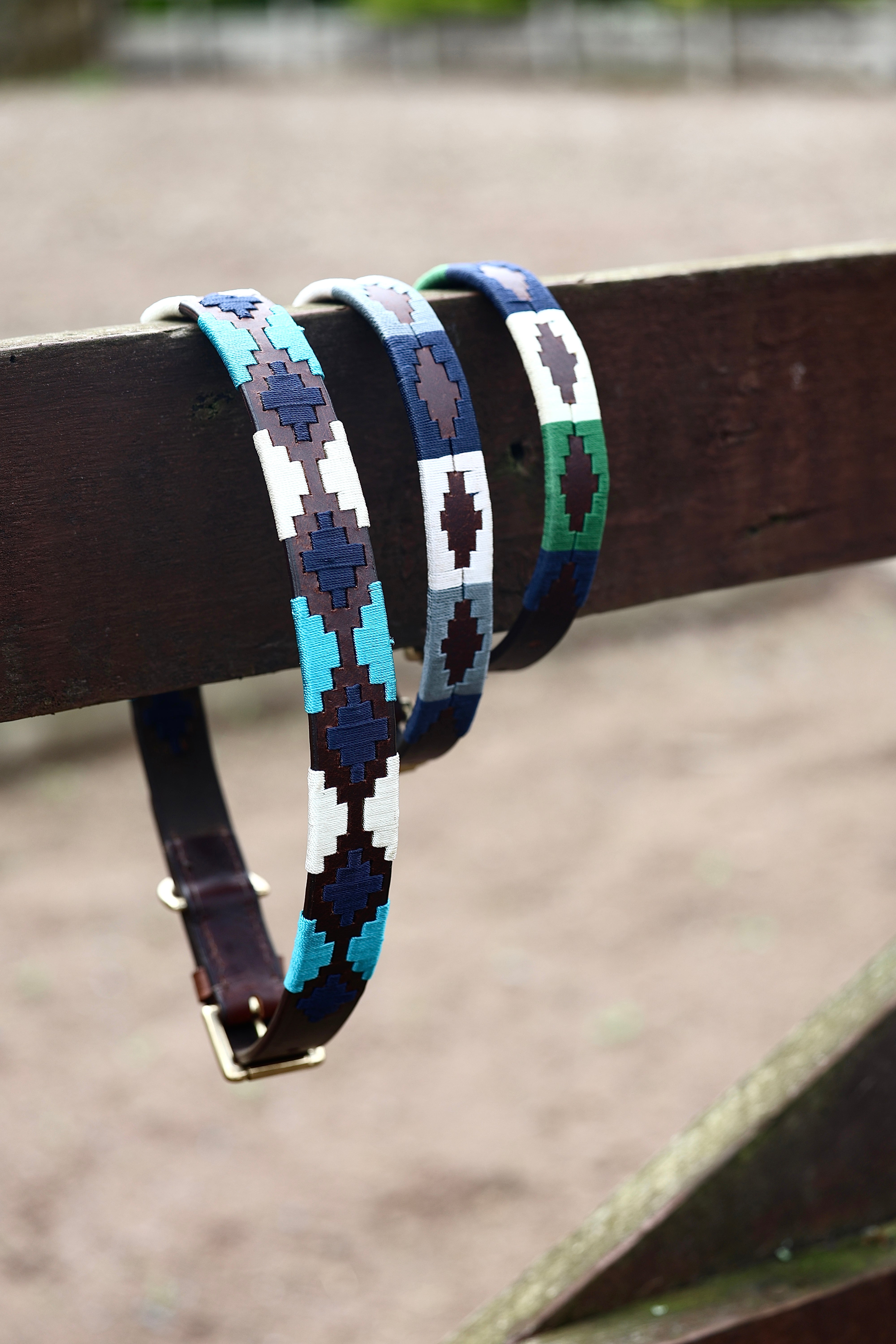 Gaucho Dog Collar