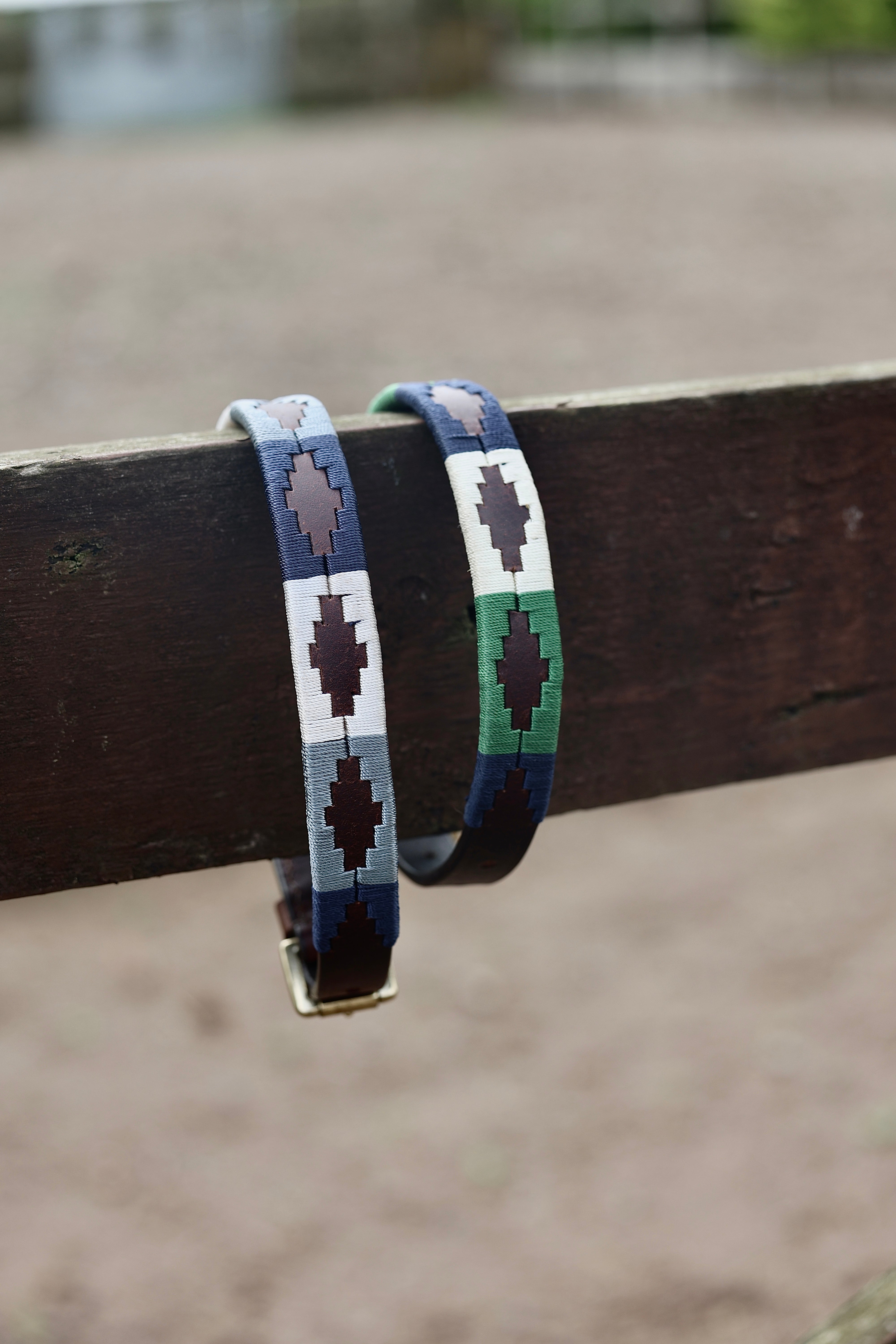 Gaucho Dog Collar