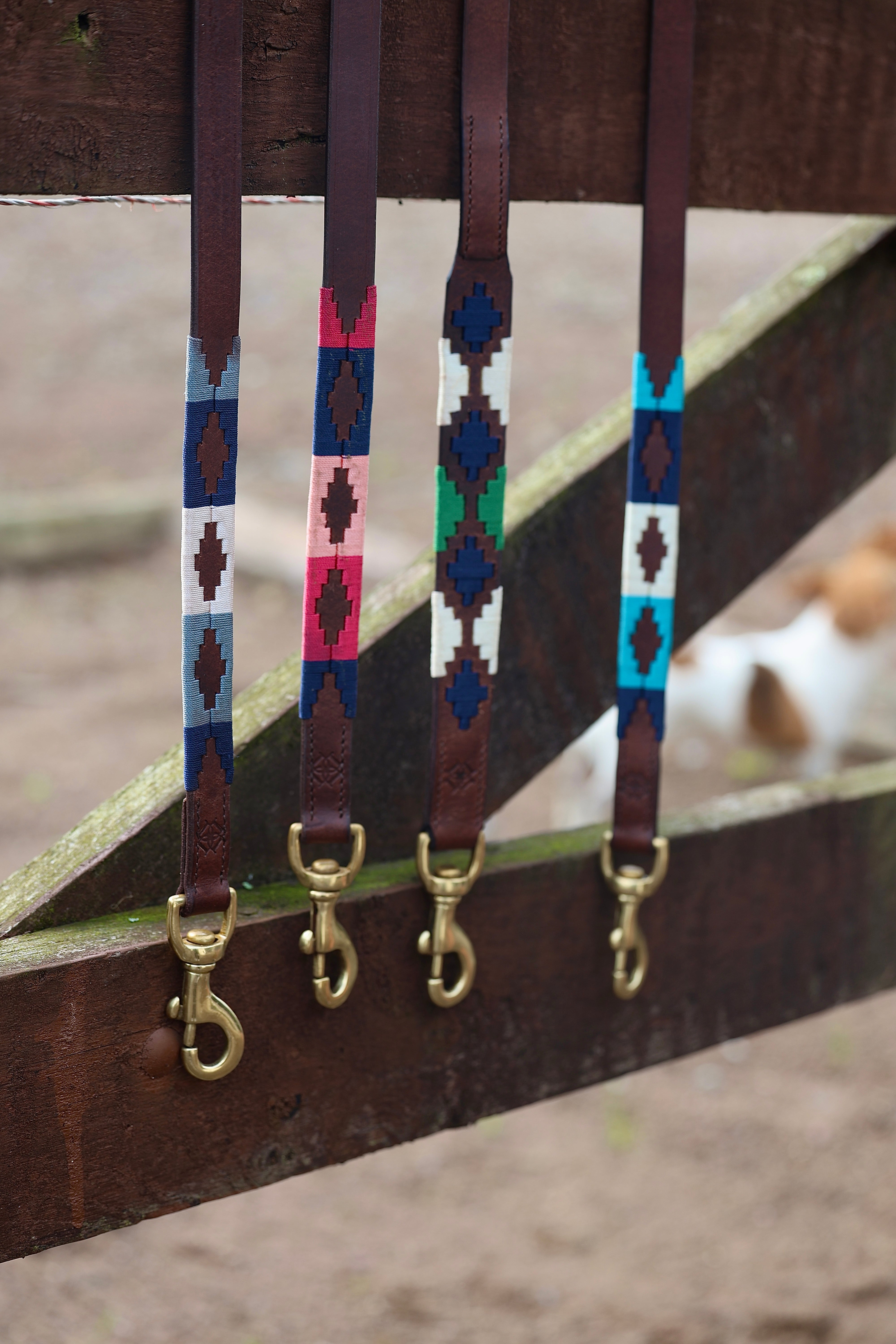 Gaucho Dog Lead