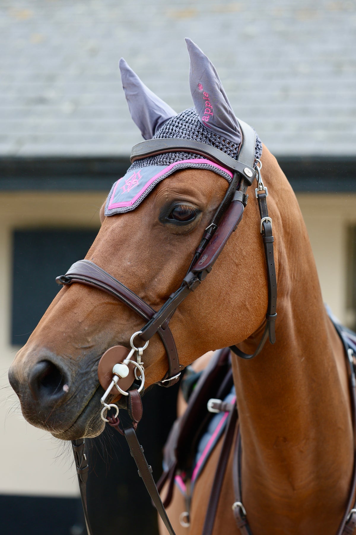 Grey & Fuchsia Fly Veil