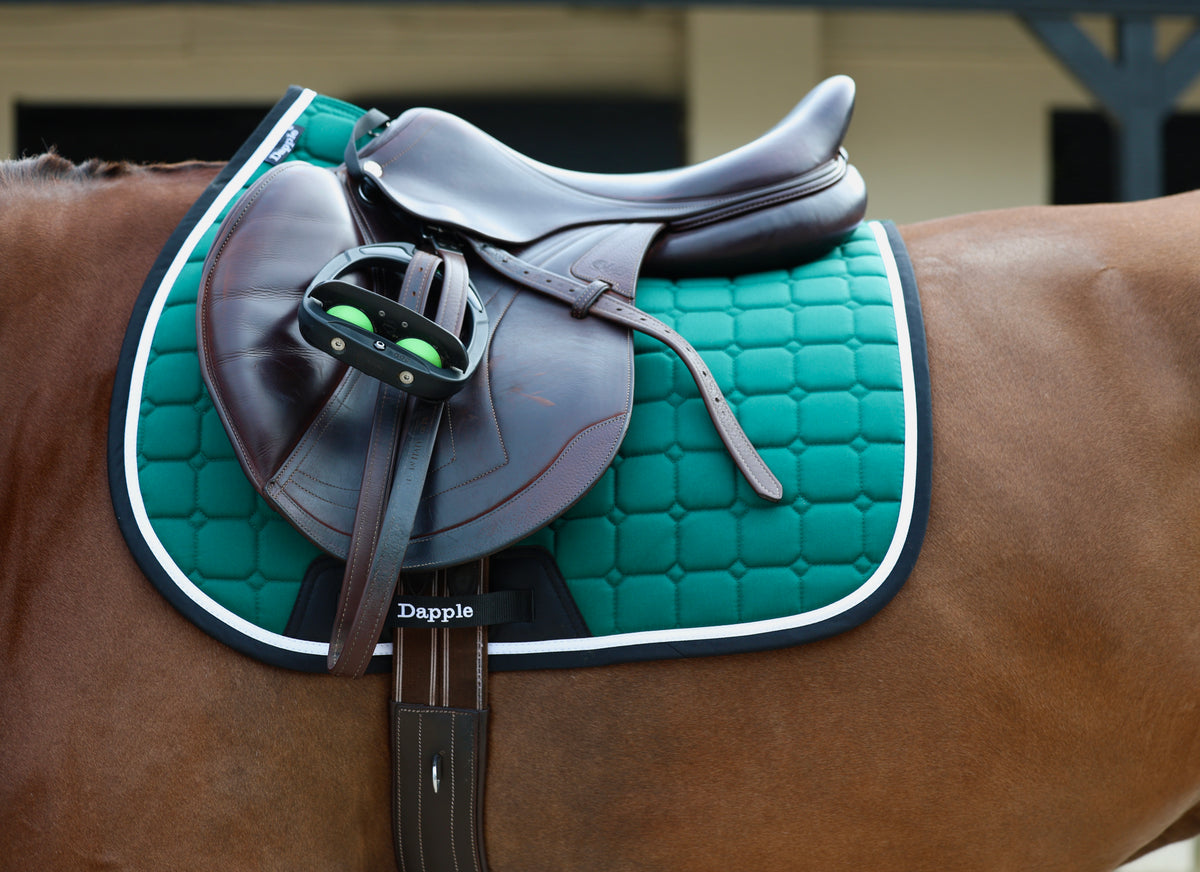Green, Black & White Saddle Pad and Fly Veil Set - No logo