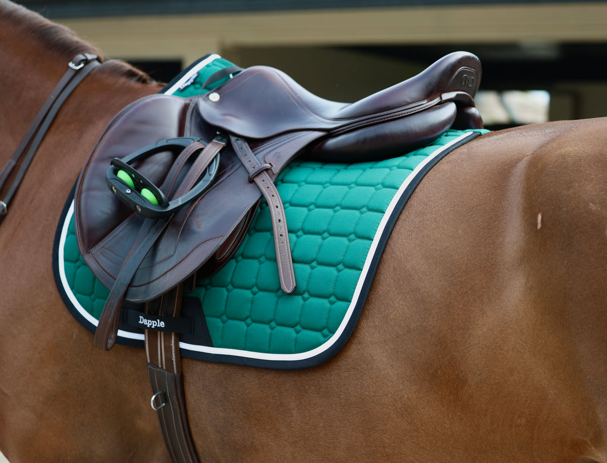 Green, Black & White Saddle Pad and Fly Veil Set - No logo