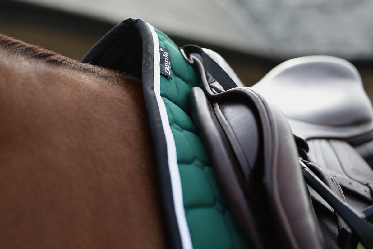 Green, Black & White Saddle Pad and Fly Veil Set - No logo