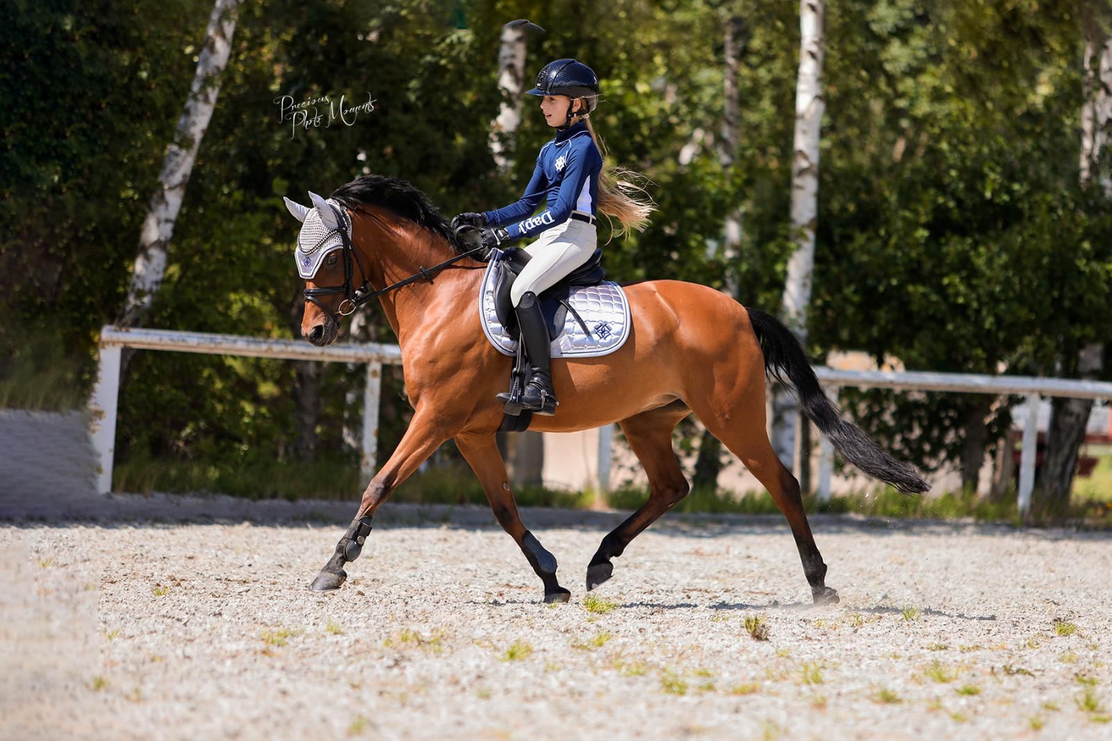 Arctic Silver Dapple Equestrian 