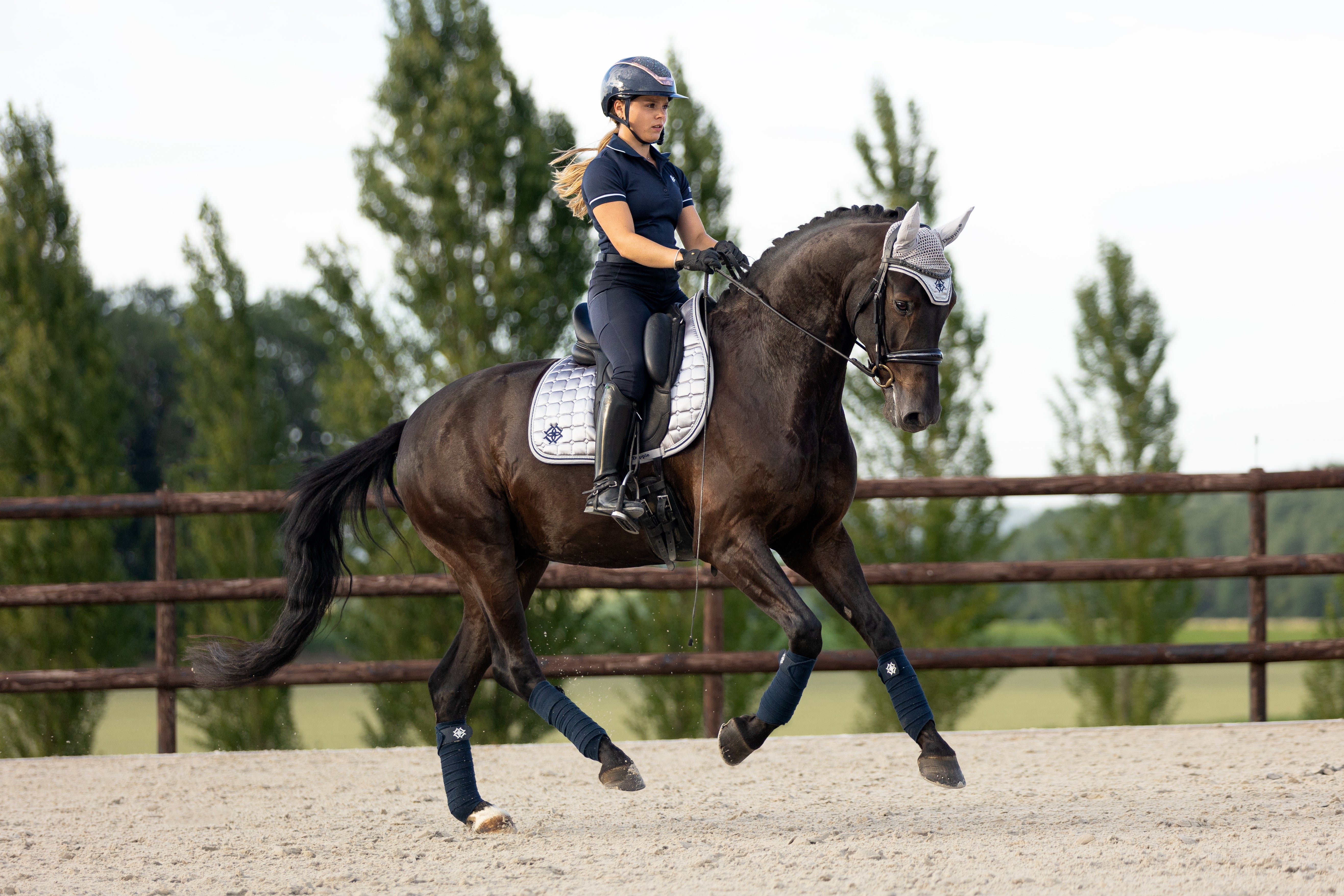 Horse rider riding a horse wearing Arctic Silver Saddle Pad and Fly Veil
