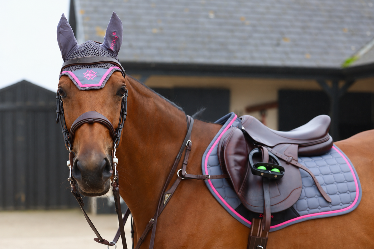 Grey & Fuchsia Fly Veil