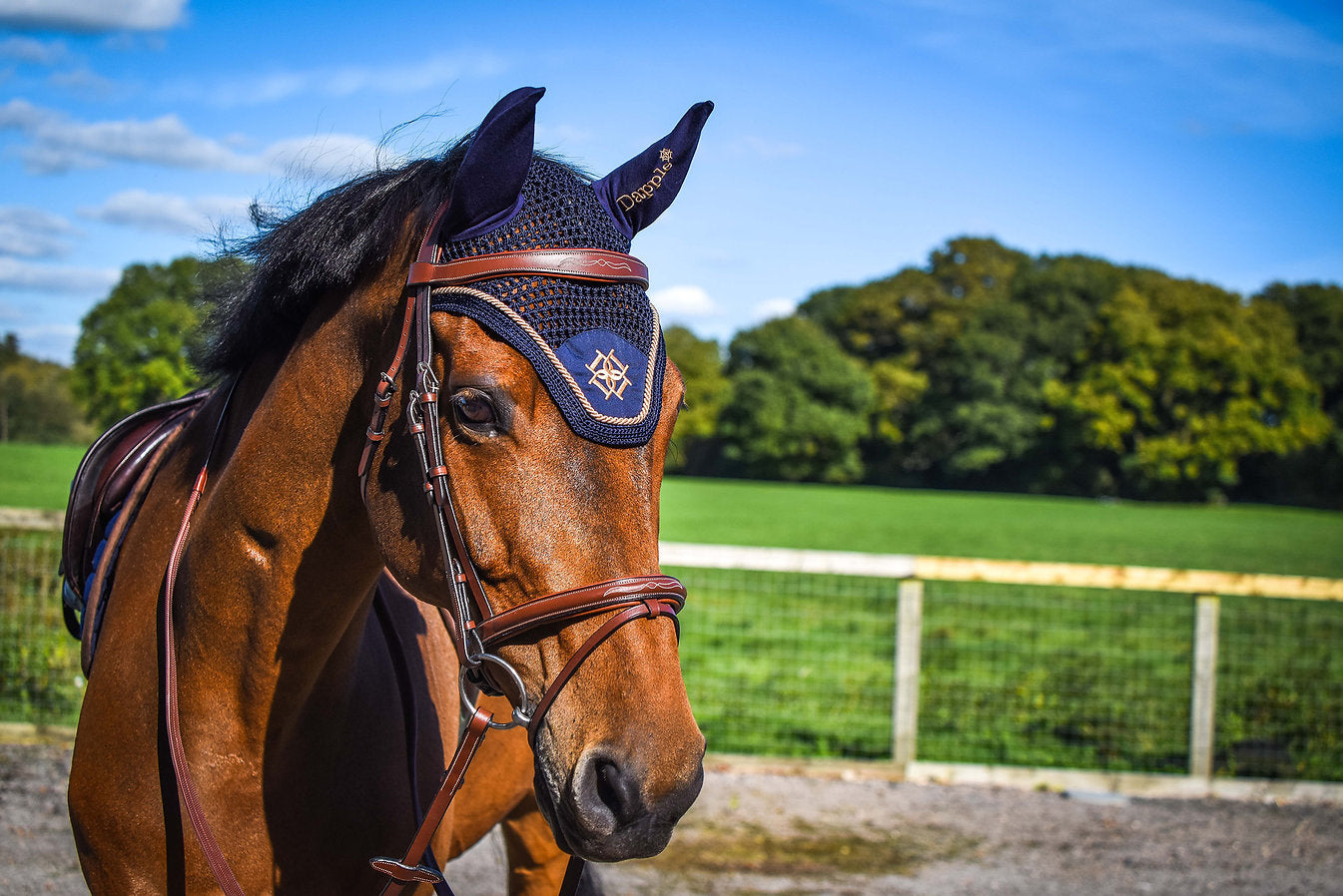 Dapple Equestrian Cognac Bridle on horse