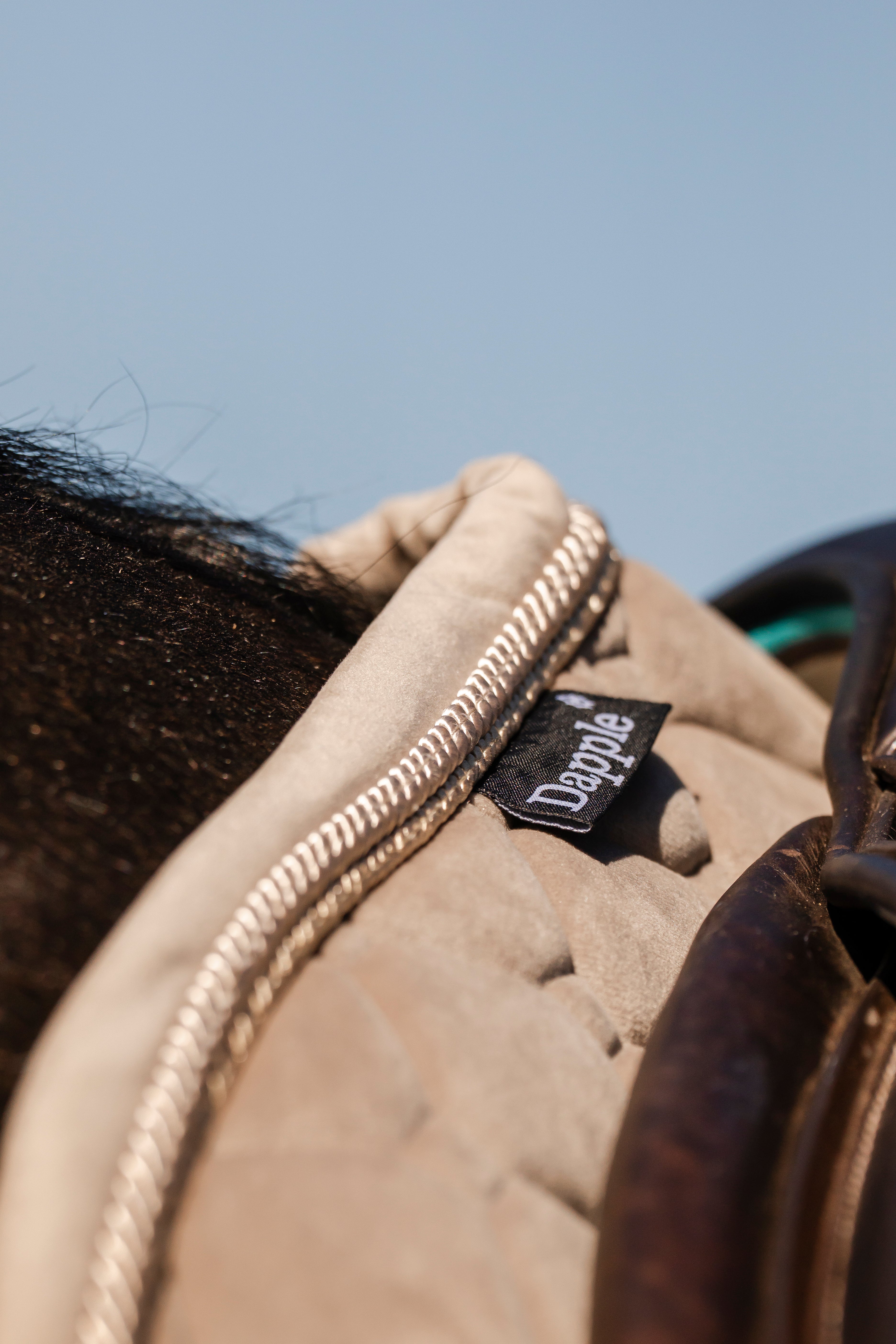 Velvet Irish Cream Saddle Pad