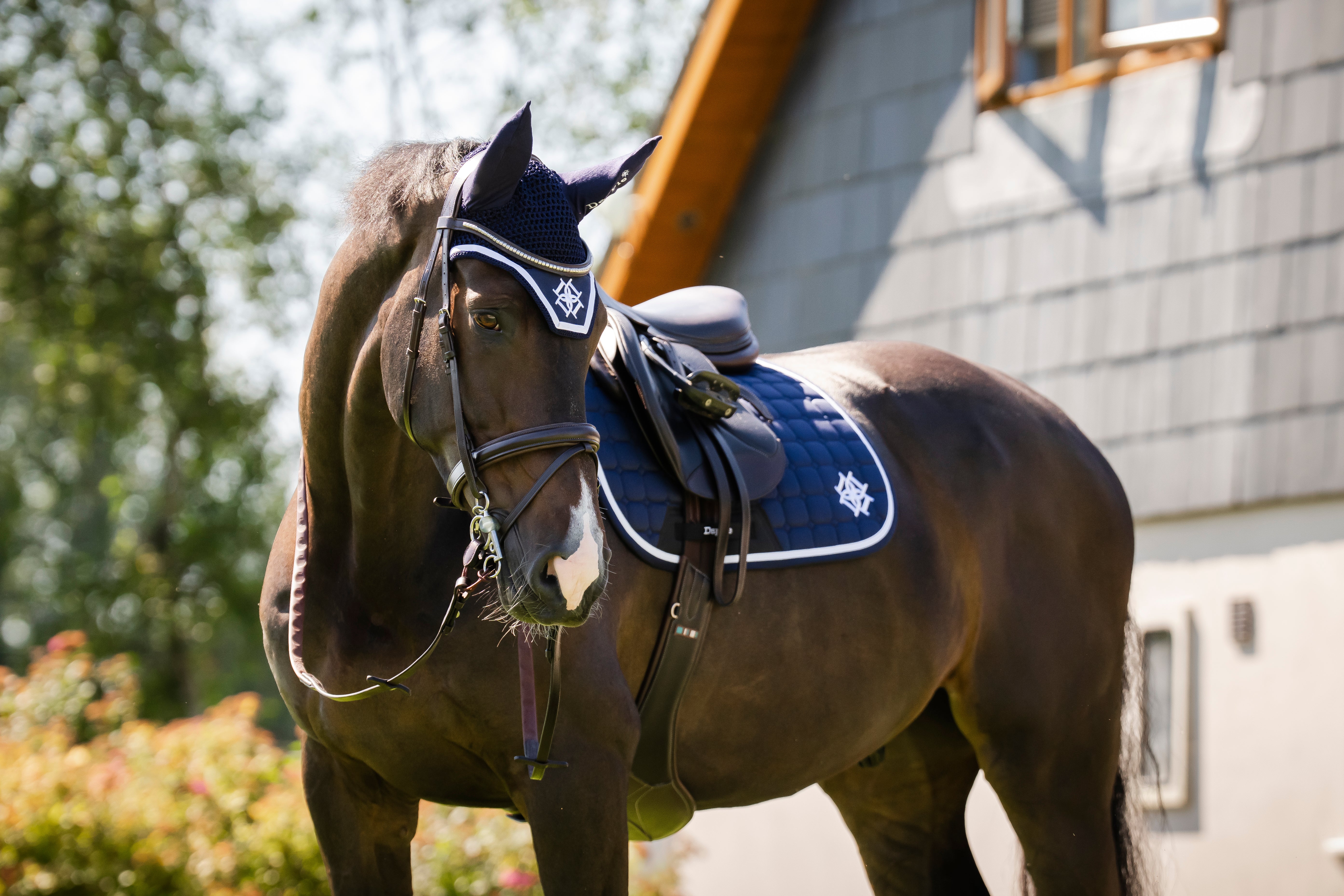 Navy Saddle Pad and Fly Veil Set
