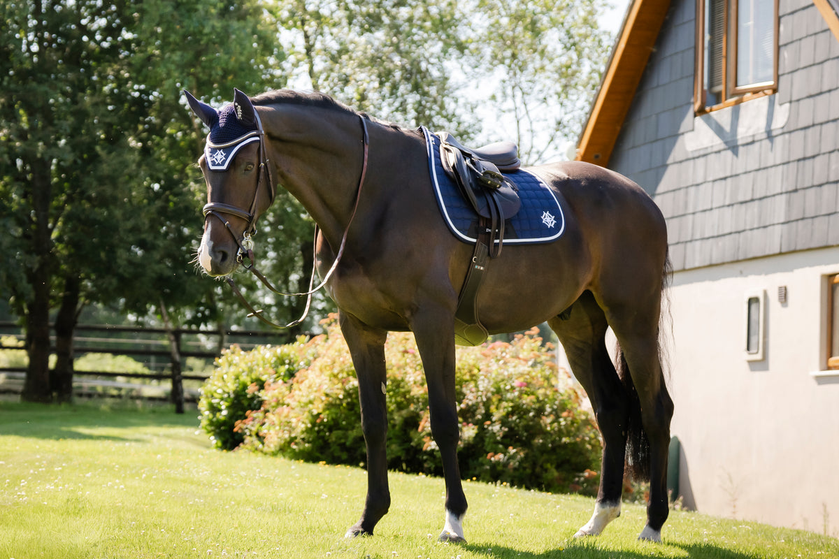 Navy Saddle Pad and Fly Veil Set