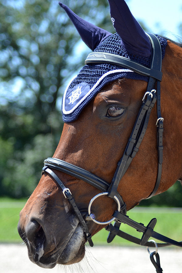 Dapple Black Anatomical Bridle on Horse