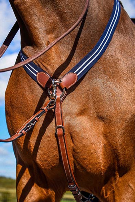 Dapple Breastplate