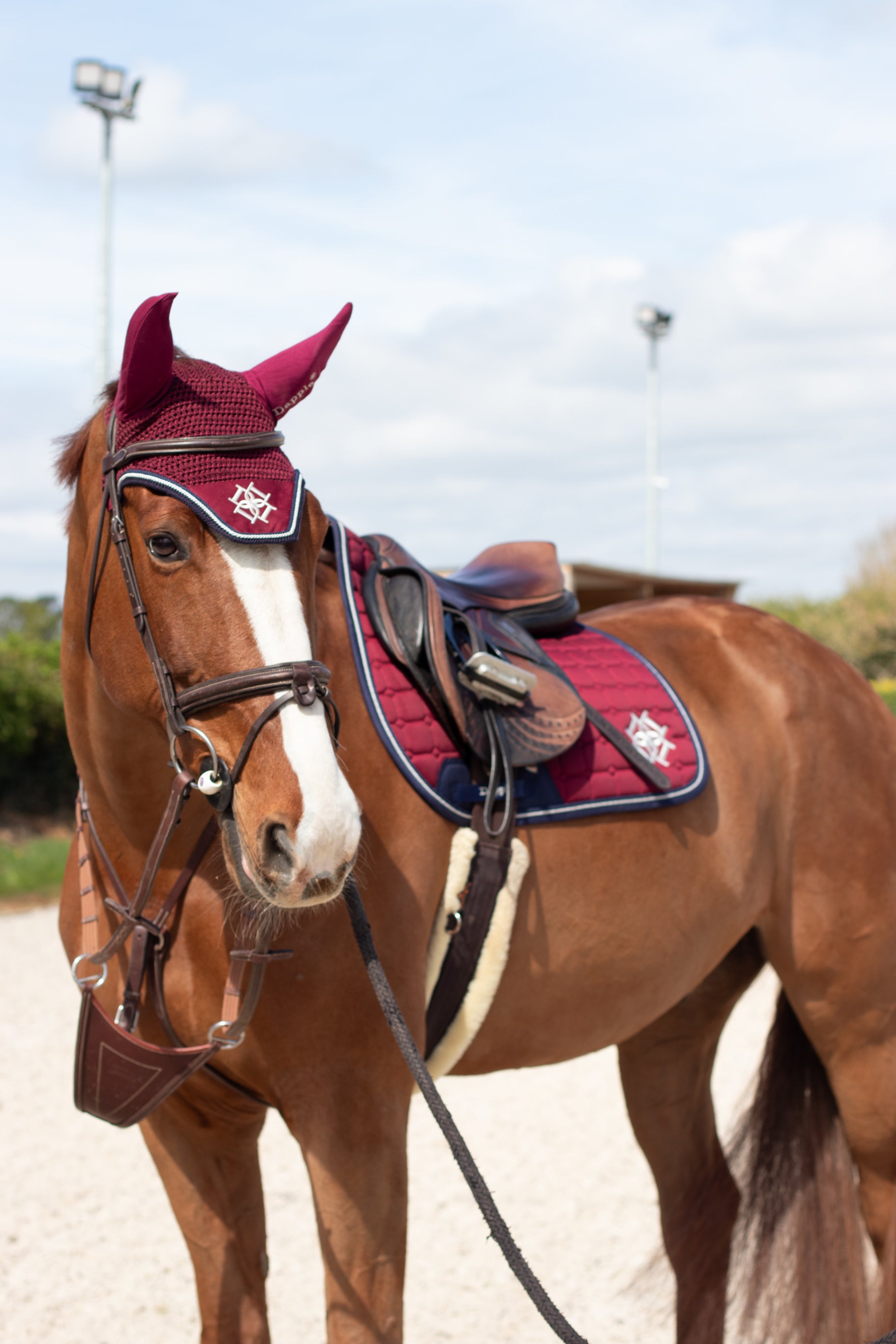  Burgundy Fly Veil and Jump Saddle Pad