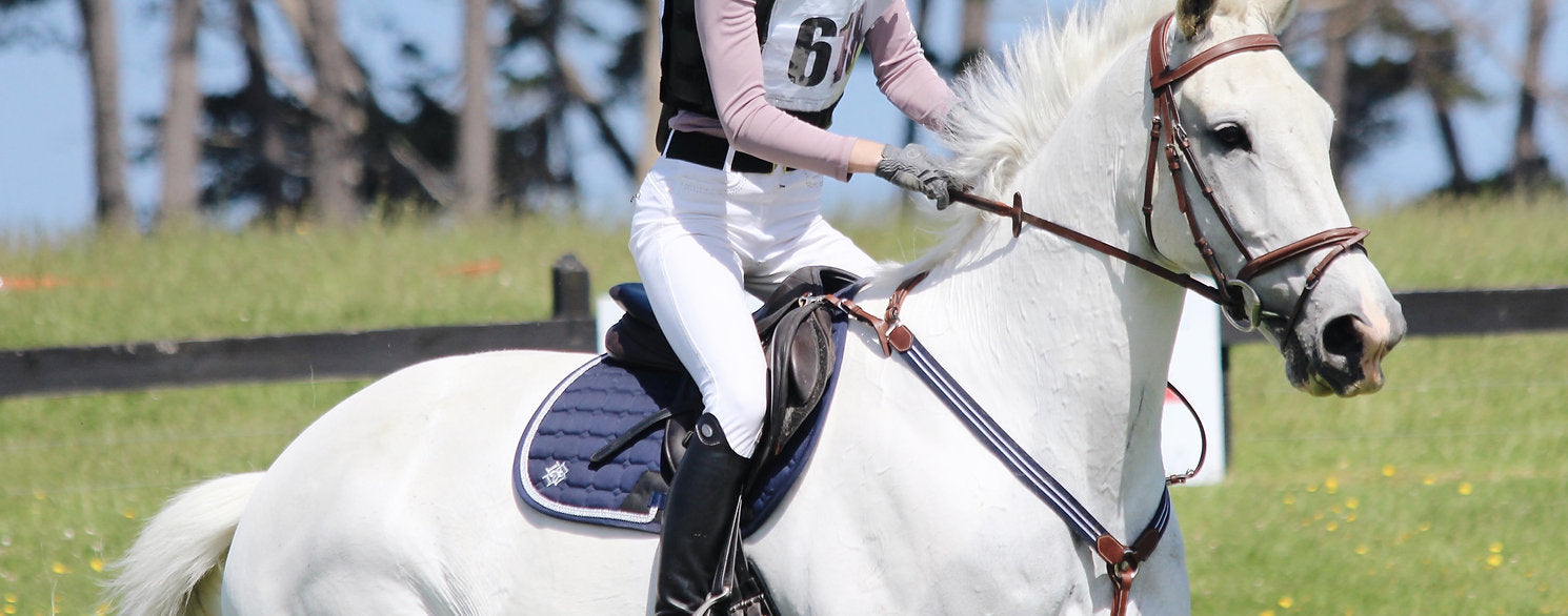 Dapple Equestrian Breastplate