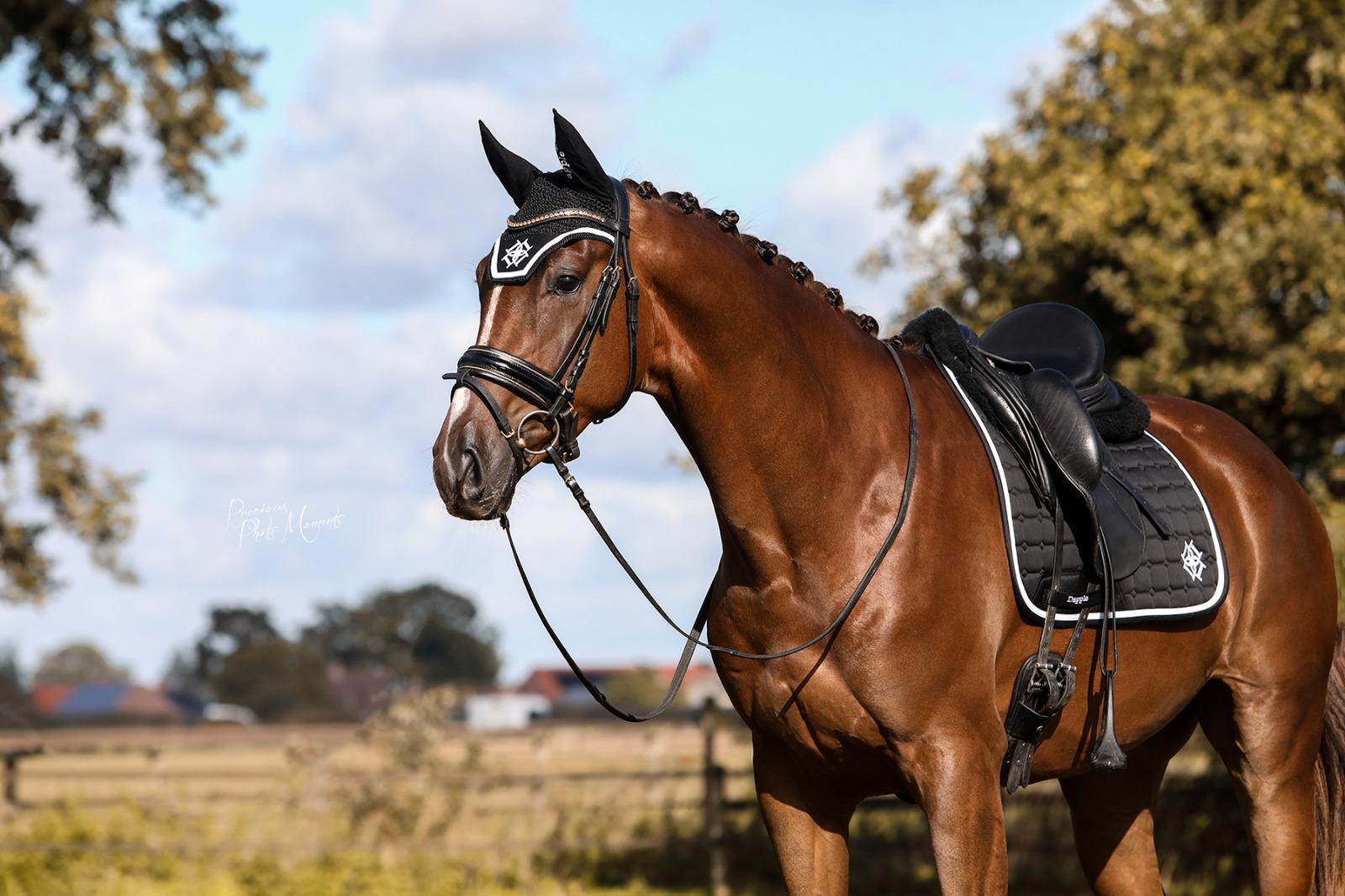 Black Dressage Saddle Pad