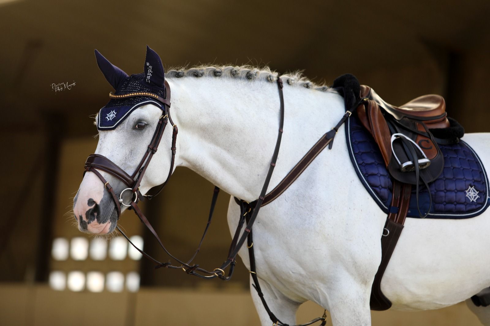 Dapple Equestrian Oxford Blue Saddle Pad