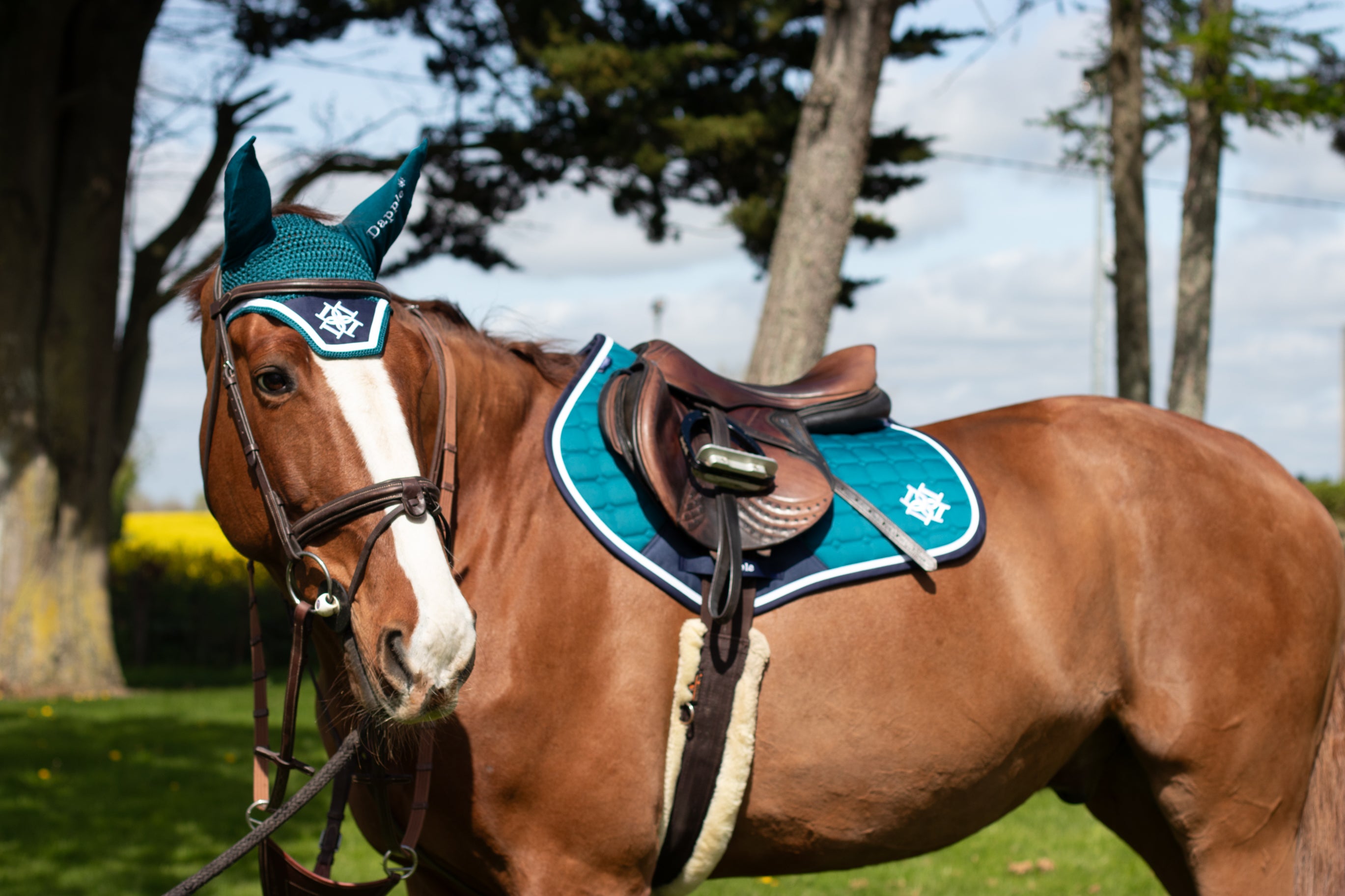 Dapple Equestrian Teal Fly Veil & Close Contact Saddle Pad