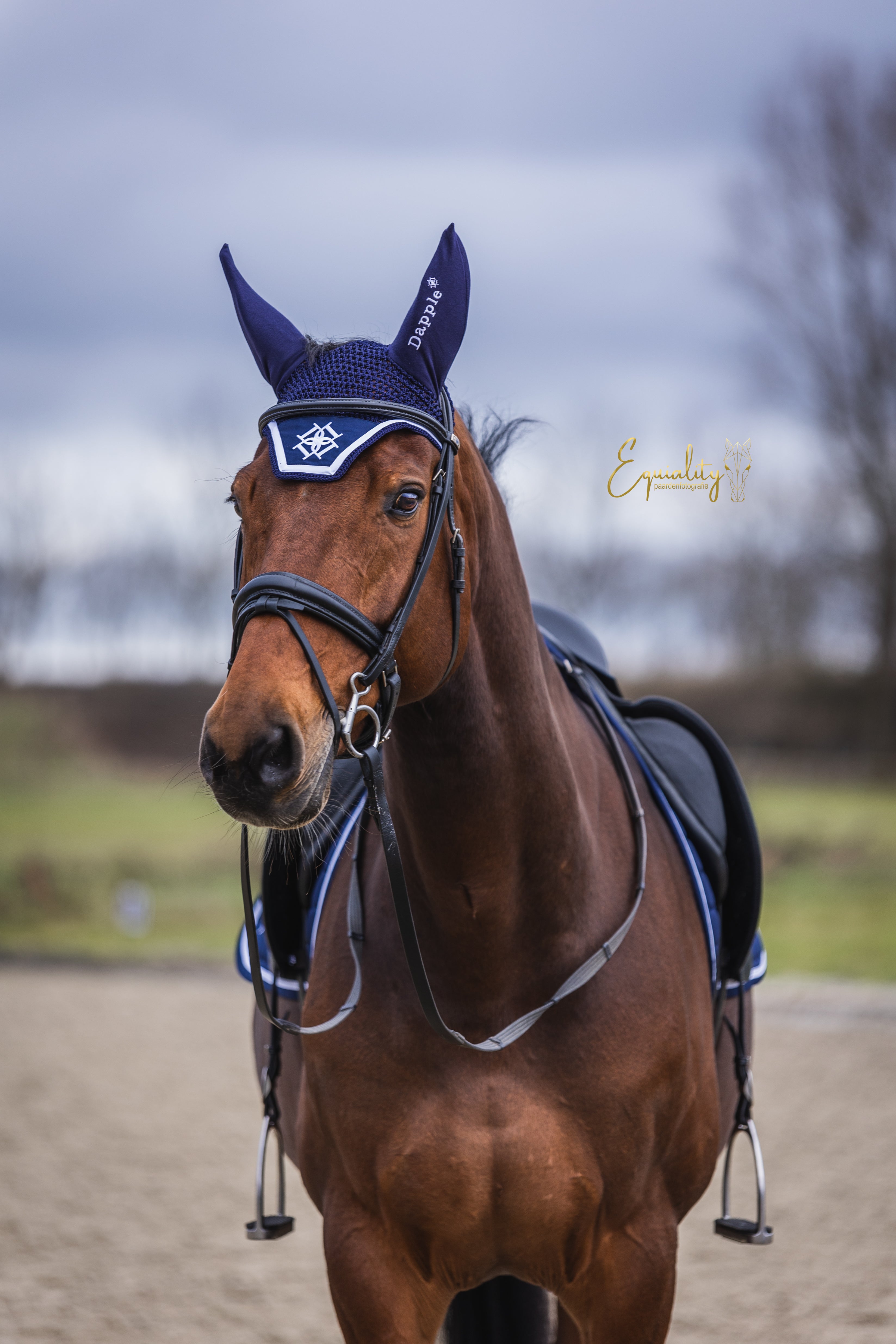 Dapple Navy Fly Veil