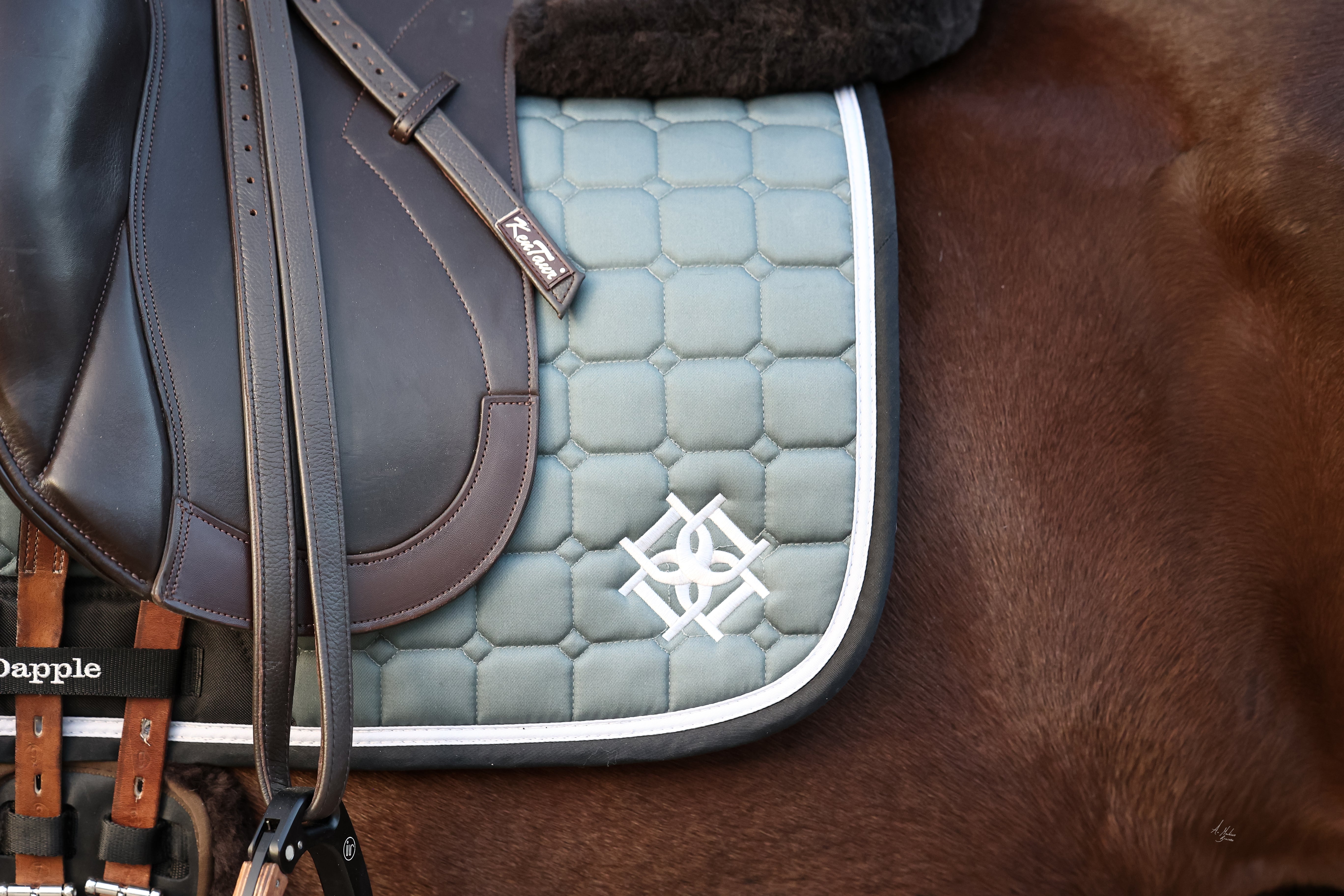 Close up of a Dapple Pine Dressage Saddle Pad