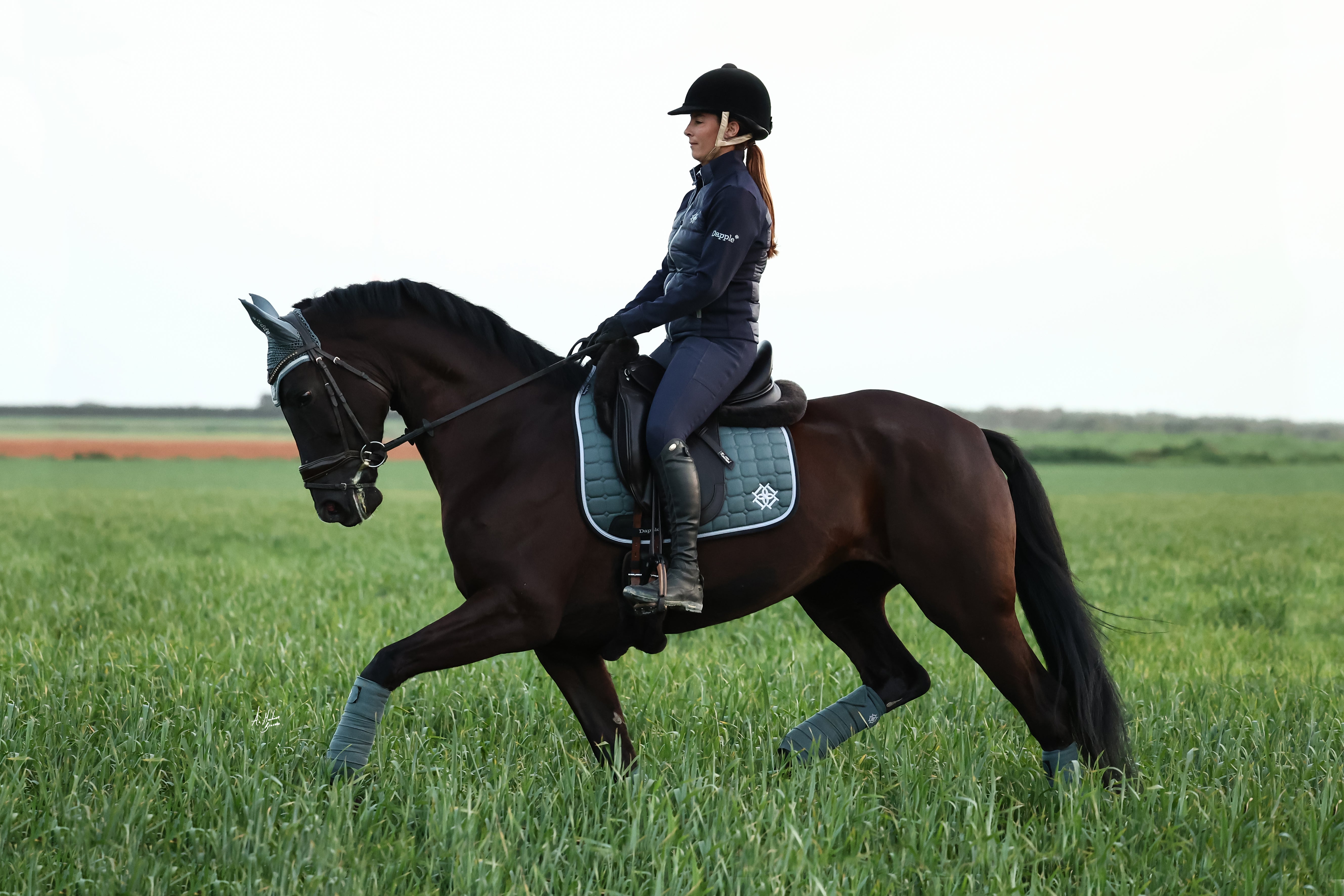 Carmen Alanis dressage rider wearing Dapple Equestrian Clothing riding a horse wearing Pine Dressage Saddle Pad with Matching Ears and Bandages through green fields