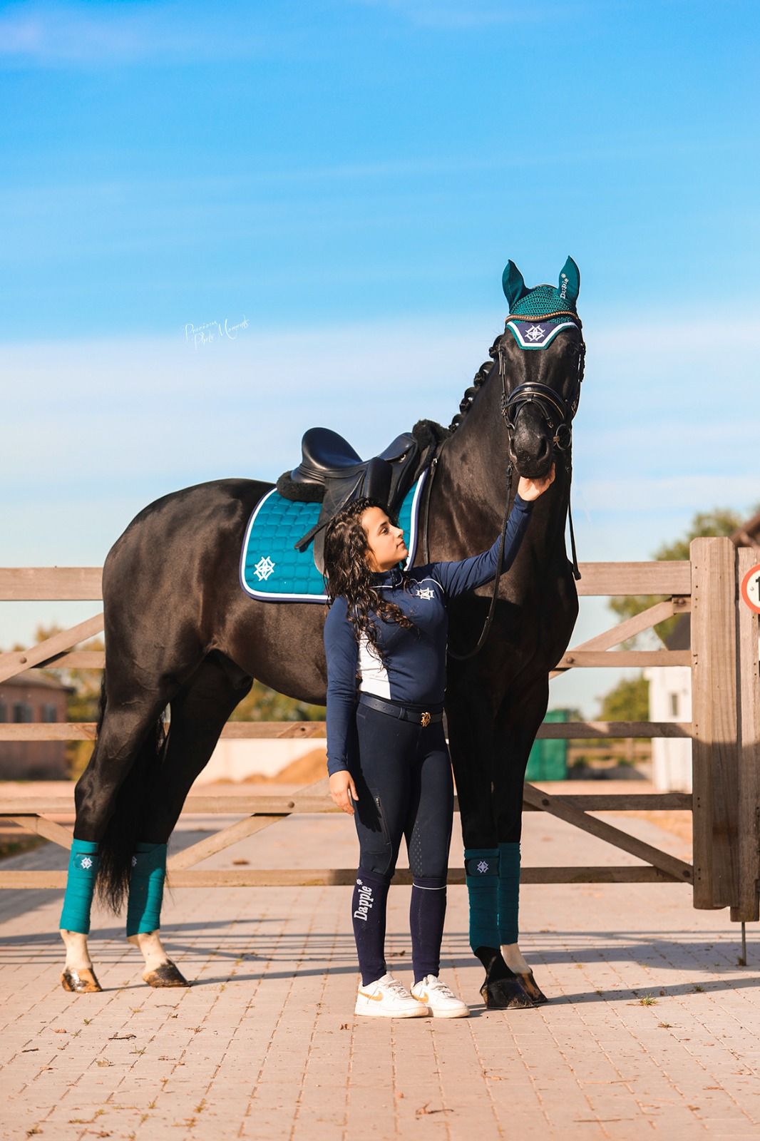 Dapple Teal Dressage with white and navy trim