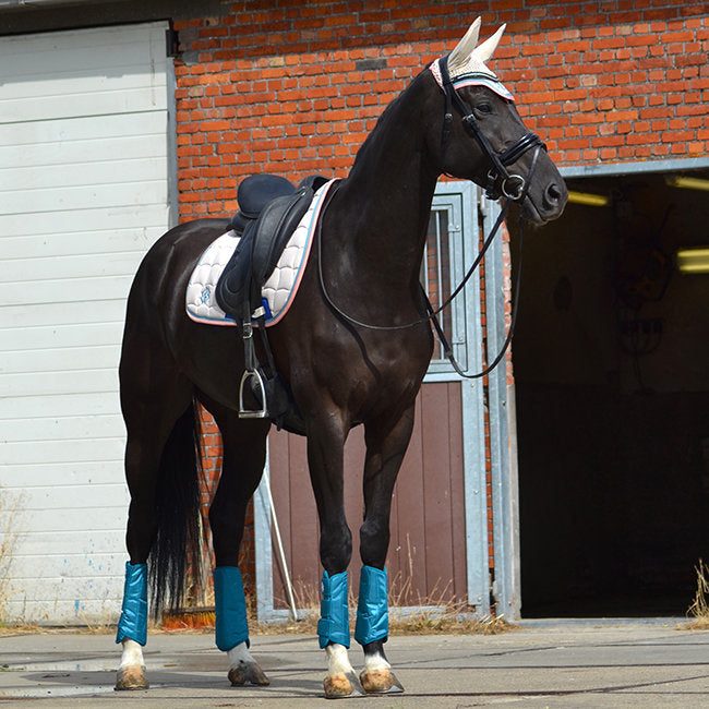 Dapple Equestrian Teal Horse Boots