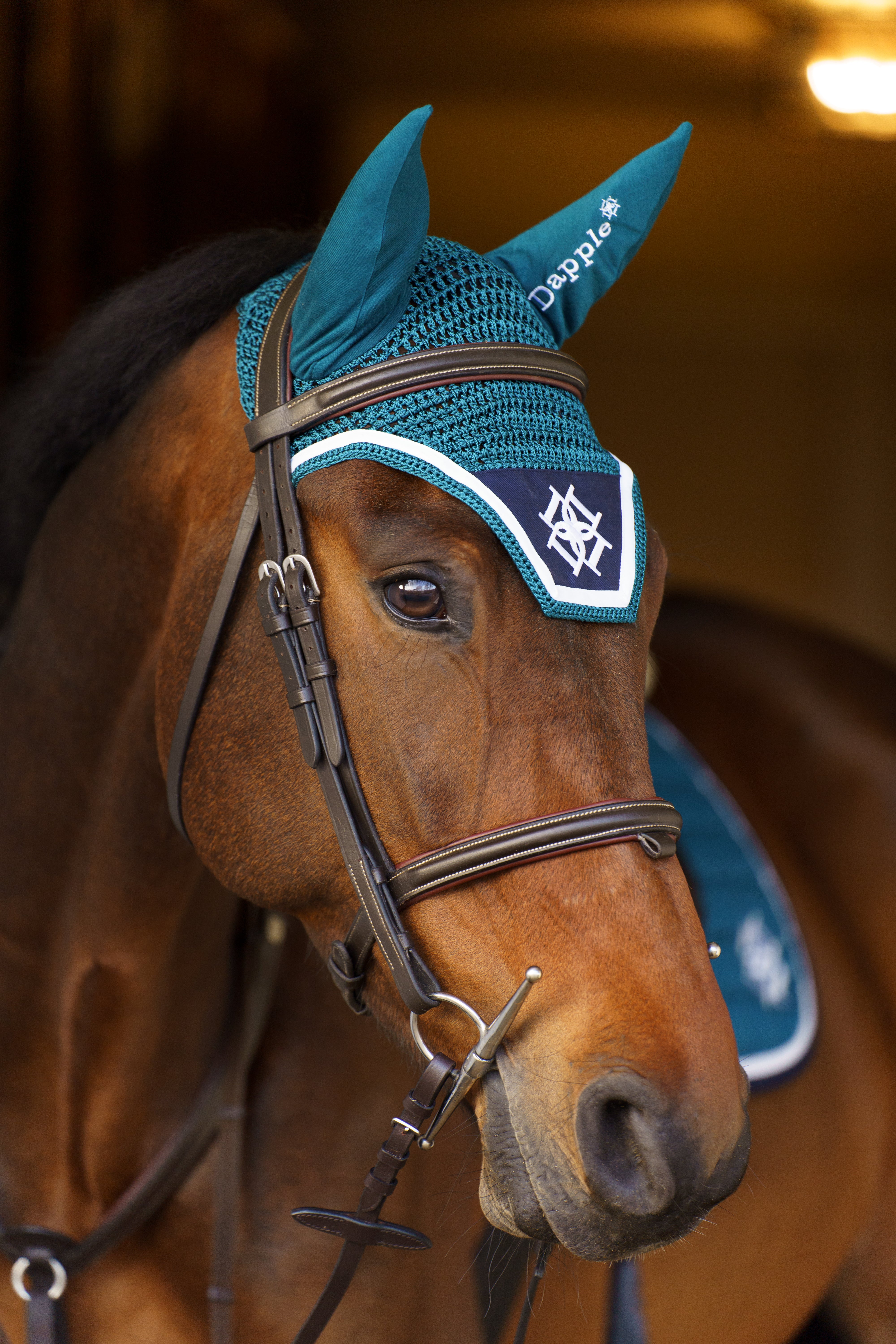 Head shot of a horse wearing Dapple's Teal Fly Veil