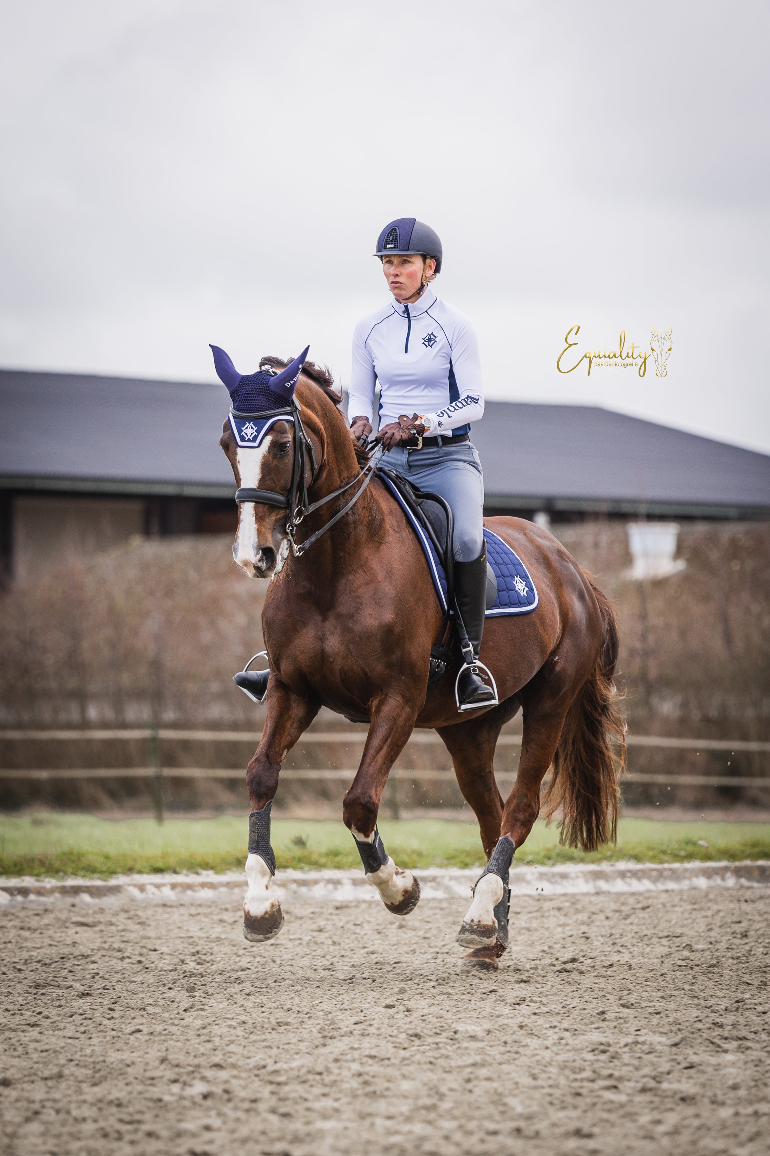 Horse and Rider in arena wearing Navy & White Dressage Saddle Pad