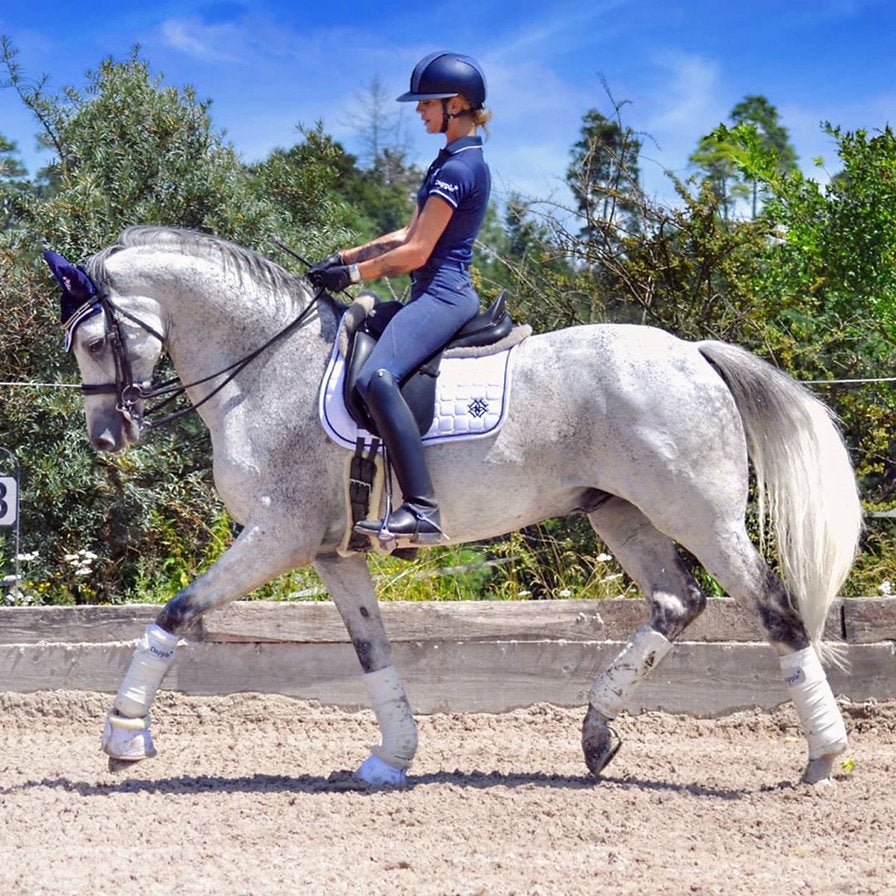 The Stylish Equestrian on a white dressage horse wearing a Dapple White Dressage Saddle Pad