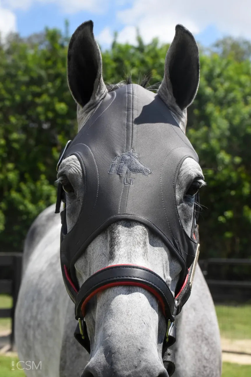 Titanium Masks with Sound Reducing Ears 
